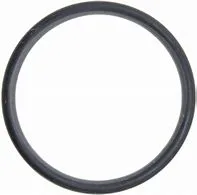 O-Ring Okuma C6110-00P160 P-160